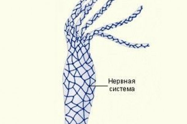 Kraken даркнет рынок